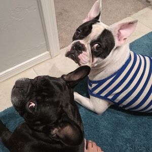 Meet your Posher, Melinda